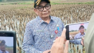 IMG_20250410_165316_92